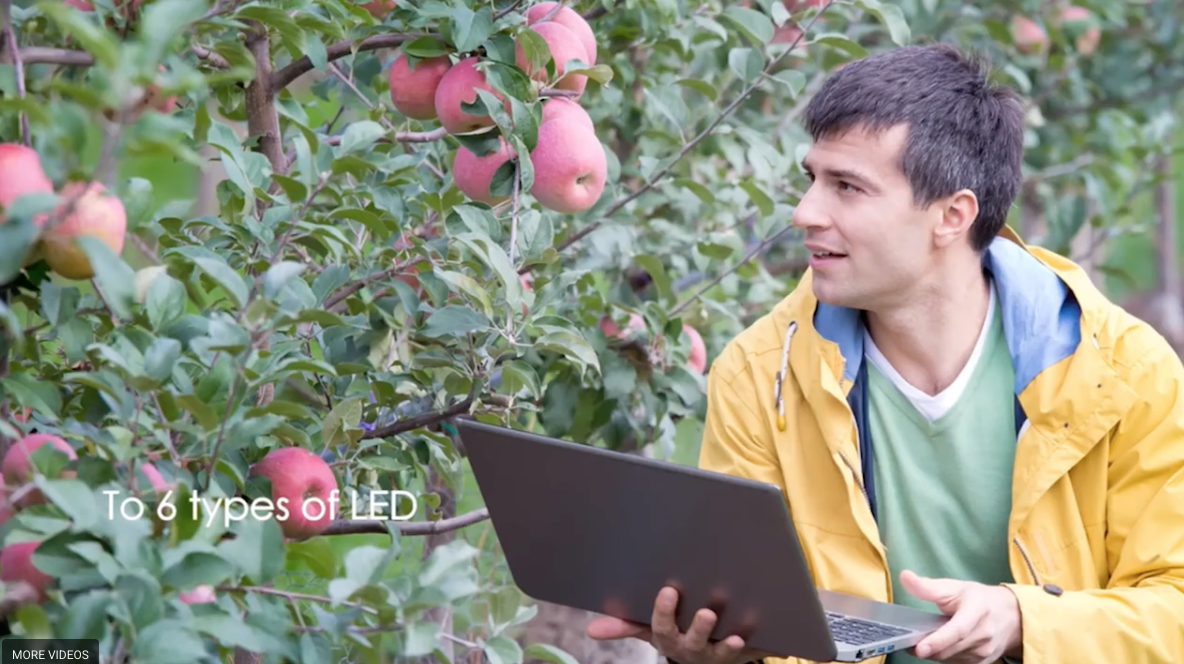 Atago apple quality testing