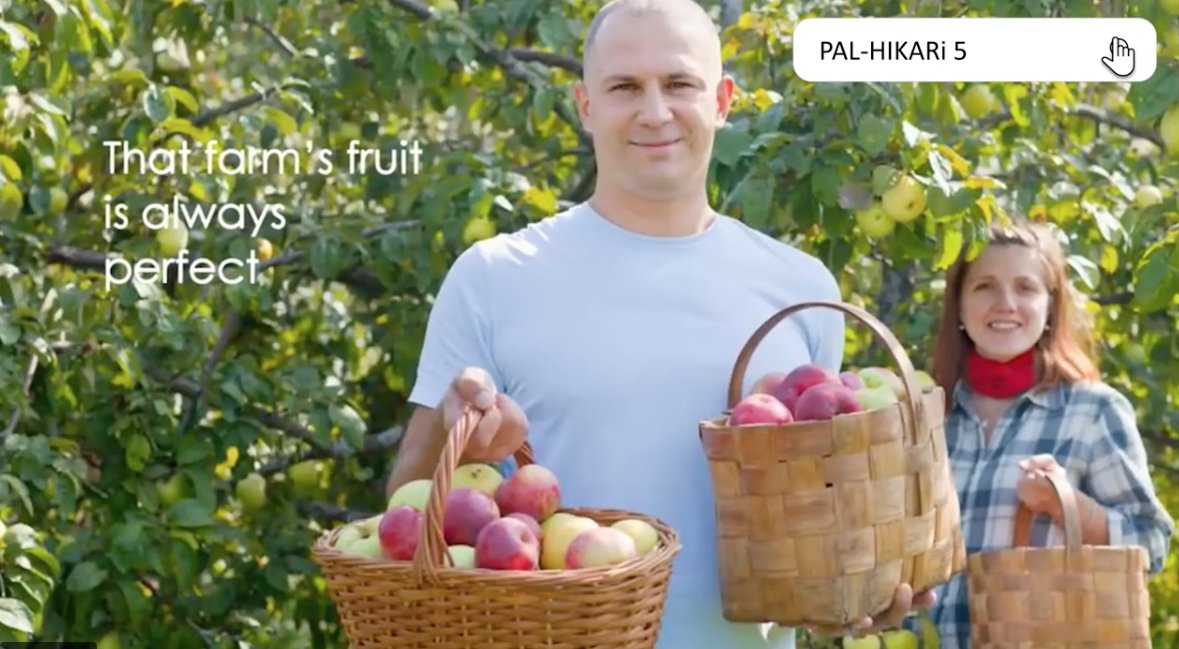 Atago orchard testing